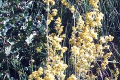 IMAGE_00057